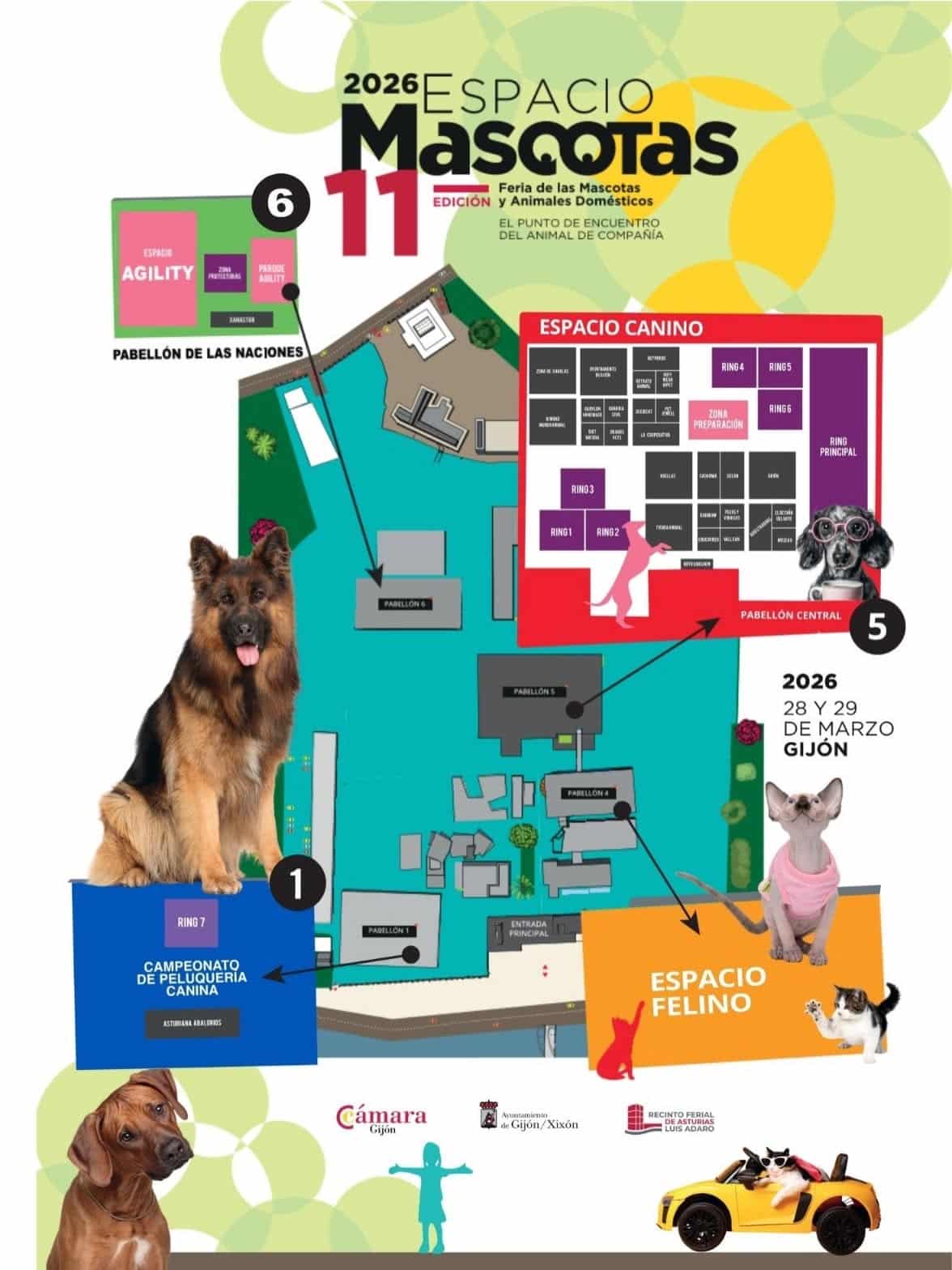 Espacio mascotas Gijón